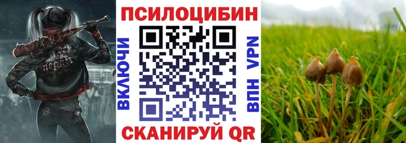 Галлюциногенные грибы мицелий  Купить где  Муравленко 